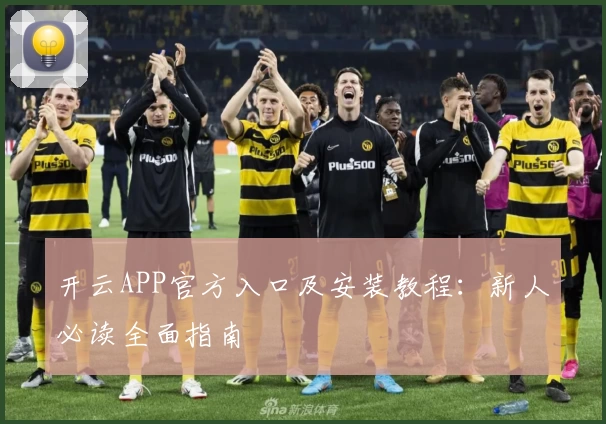 开云APP官方入口及安装教程：新人必读全面指南