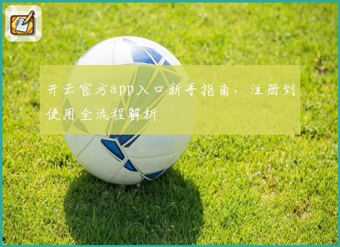 开云官方app入口新手指南，注册到使用全流程解析