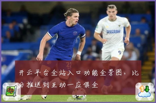 开云平台全站入口功能全景图，比分推送到互动一应俱全
